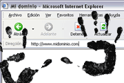 robo de dominios