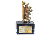 Premio revista interactiva