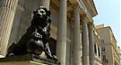 Congreso.es