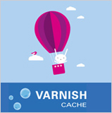 imagen de Mejora la velocidad de tu web con Varnish Cache